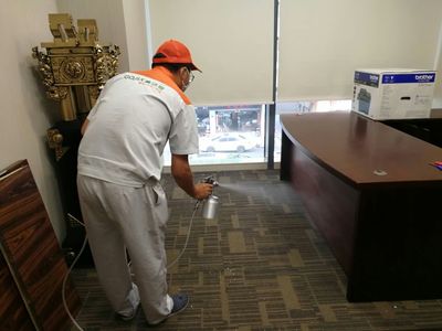 高效除甲醛實戰(zhàn)案例解析