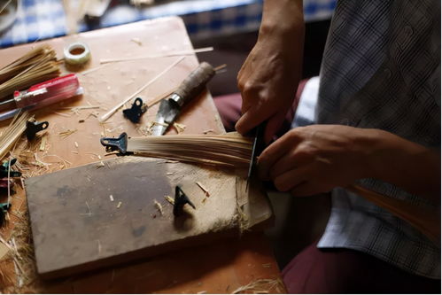 安吉竹博園 融合竹林、萌寵與冰雪的多元文化樂(lè)園