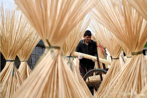 古田竹農復工忙，竹制品加工煥發新活力