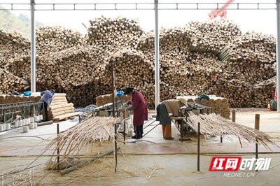 小竹子撬動(dòng)大產(chǎn)業(yè) 竹制品加工的綠色經(jīng)濟(jì)之路