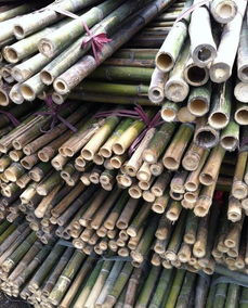 竹韻匠心 從優(yōu)質(zhì)原竹到精美竹制品的全產(chǎn)業(yè)鏈服務(wù)